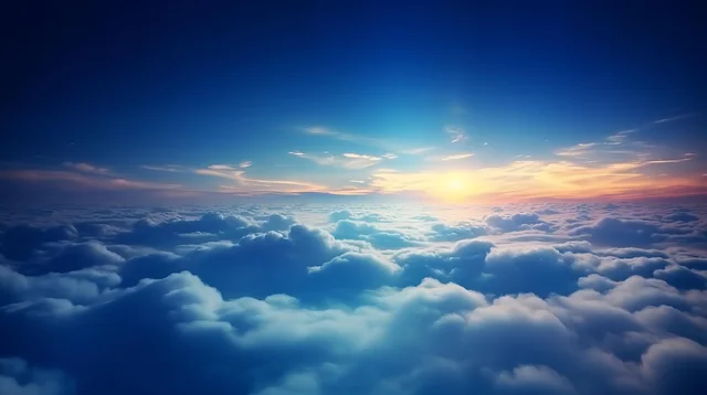 IMAGES 46